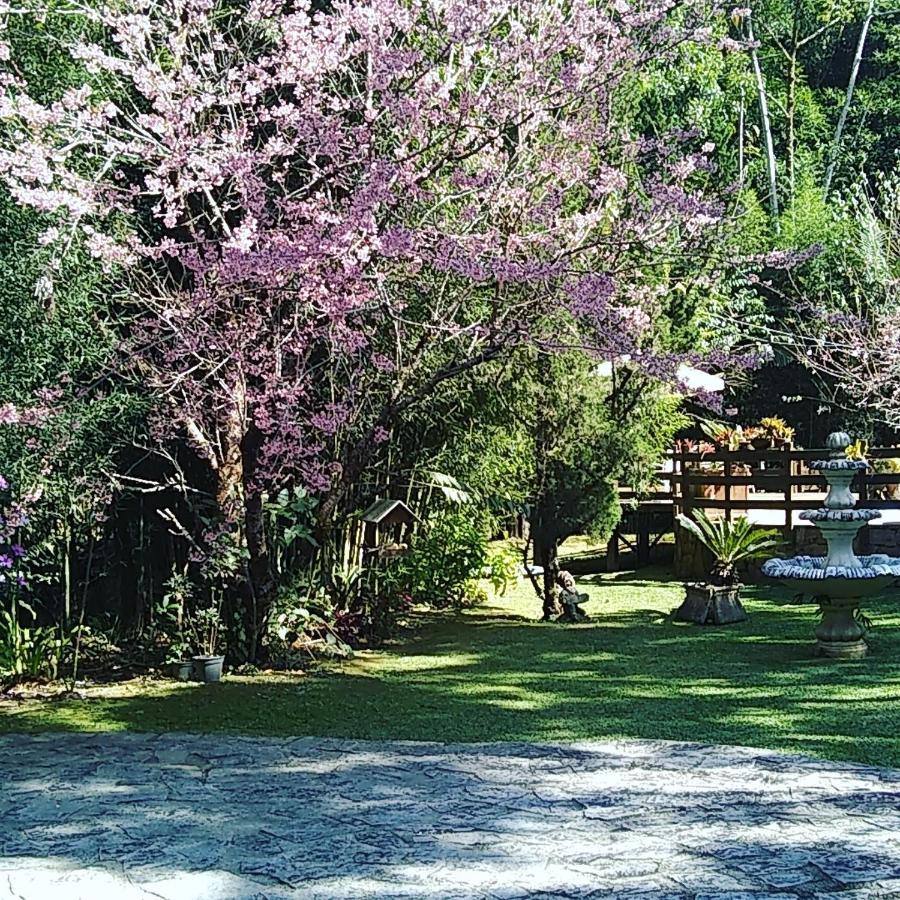 Havila Arara Azul 노바프리부르구 외부 사진