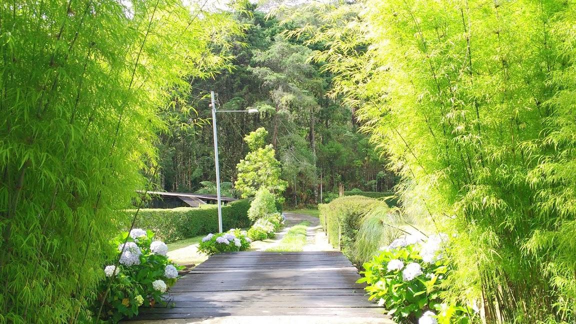 Havila Arara Azul 노바프리부르구 외부 사진